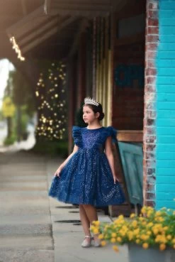 MILLY DRESS SPARKLE NAVY -Trish Scully 10 1
