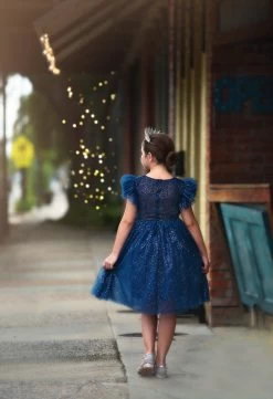 MILLY DRESS SPARKLE NAVY -Trish Scully 10 3
