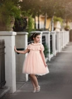 GIOVANNA DRESS PINK -Trish Scully 116 1