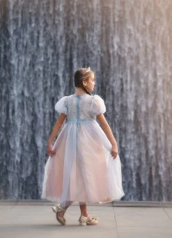 JACQUELINE GOWN SILVER -Trish Scully 120 3