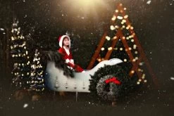 SANTA'S LITTLE HELPER 9 SANTA'S LITTLE HELPER -Trish Scully 121 4