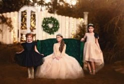 MARIPOSA GOWN CHAMPAGNE 9 MARIPOSA GOWN CHAMPAGNE -Trish Scully 122 4