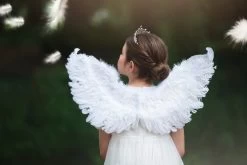 FEATHER WINGS -Trish Scully 154 1