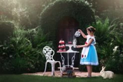 MISS WHIMSY -Trish Scully 171 3