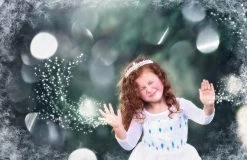 PRINCESS SIGRID GOWN -Trish Scully 205 7