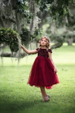 DELILAH DRESS WINE 7 DELILAH DRESS WINE -Trish Scully 262