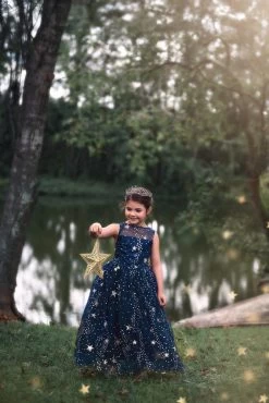 STARGAZER TIARA -Trish Scully 268 3