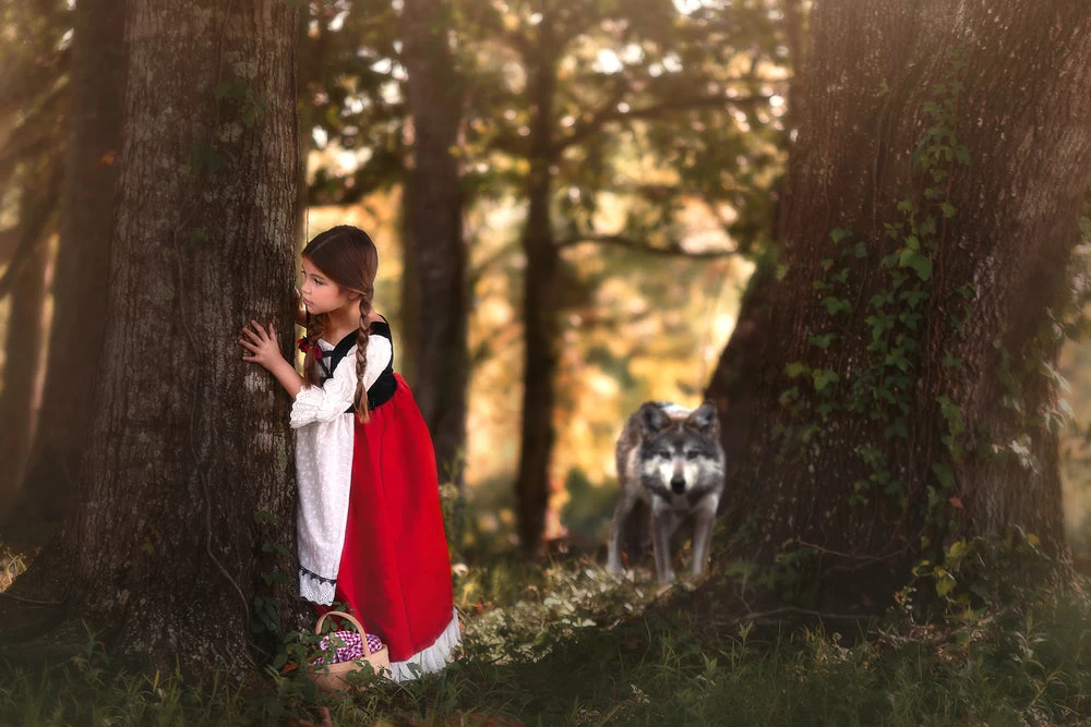 LUXE RED RIDING HOOD DRESS & CAPE SET 5 LUXE RED RIDING HOOD DRESS & CAPE SET - Image 3
