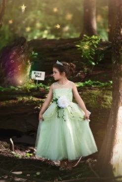 FROG PRINCESS GOWN & BELT SET -Trish Scully 292 3