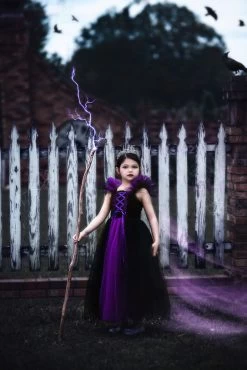 THE VILLAIN 9 THE VILLAIN -Trish Scully 297 3