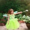 ENCHANTED FAIRY DRESS & WING SET -Trish Scully 303 370408cc 58c2 4a9b 8b30 d6d11e3a8222
