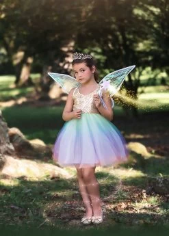 FAIRY DRESS, WINGS & WAND 3PC. SET