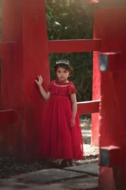 GIOVANNA GOWN CRIMSON 9 GIOVANNA GOWN CRIMSON -Trish Scully 331 1