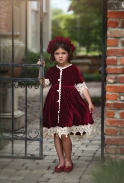ROSALINA DRESS BURGUNDY VELVET