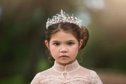 ICE QUEEN TIARA -Trish Scully 343 1