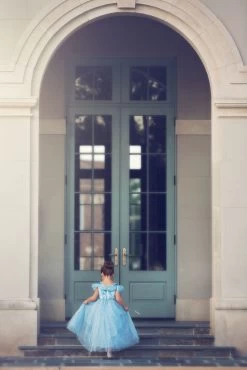 FLASH SALE QUEEN OF THE KINGDOM PRINCESS DRESS COSTUME -Trish Scully 417 4