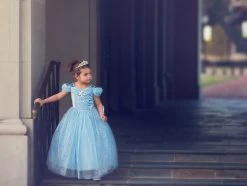 FLASH SALE QUEEN OF THE KINGDOM PRINCESS DRESS COSTUME -Trish Scully 417 6