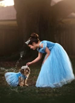 FLASH SALE QUEEN OF THE KINGDOM PRINCESS DRESS COSTUME -Trish Scully 417 8