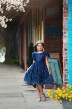 MILLY DRESS SPARKLE NAVY