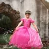 FLASH SALE PINK PRINCESS DRESS COSTUME 2 FLASH SALE PINK PRINCESS DRESS COSTUME -Trish Scully 621