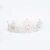 PRINCESS MIA TIARA -Trish Scully Myproject 1 2023 06 12T154457.815