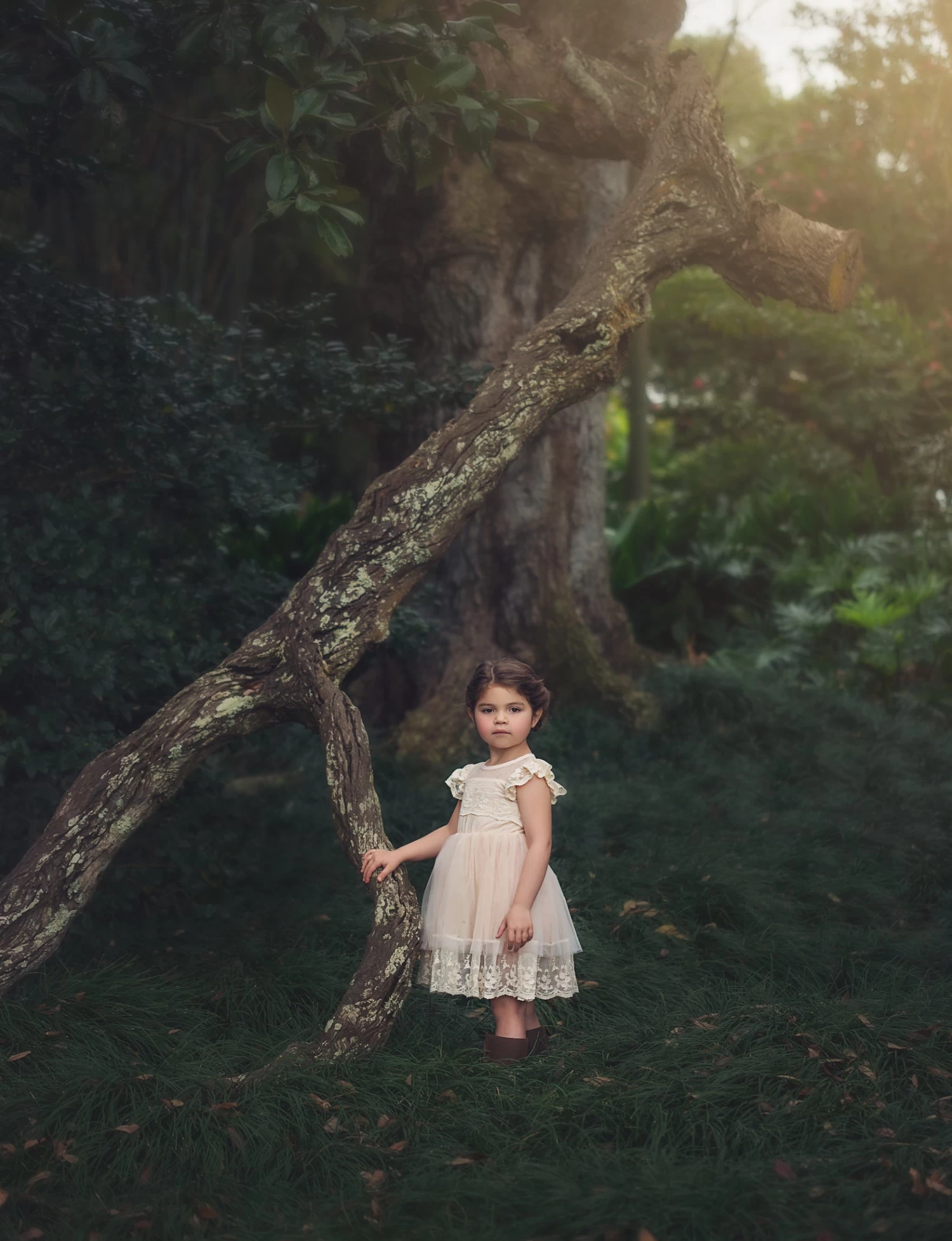 OLIVIA DRESS BUTTERSCOTCH 5 OLIVIA DRESS BUTTERSCOTCH - Image 3