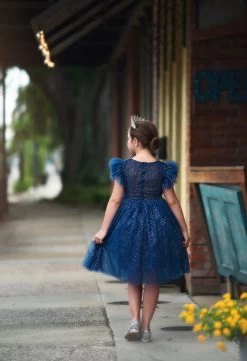 MILLY DRESS SPARKLE NAVY -Trish Scully TSC23fb 5 copy