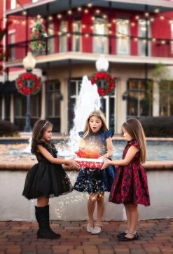 EVANGELINE DRESS CRIMSON JACQUARD 9 EVANGELINE DRESS CRIMSON JACQUARD -Trish Scully TSC3fb 063a3827 34c6 45f9 b210 7a1e361c977c