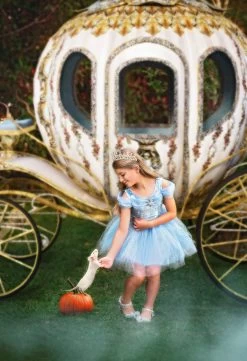 PRINCESS EMILIE TIARA -Trish Scully TSC40fb 1