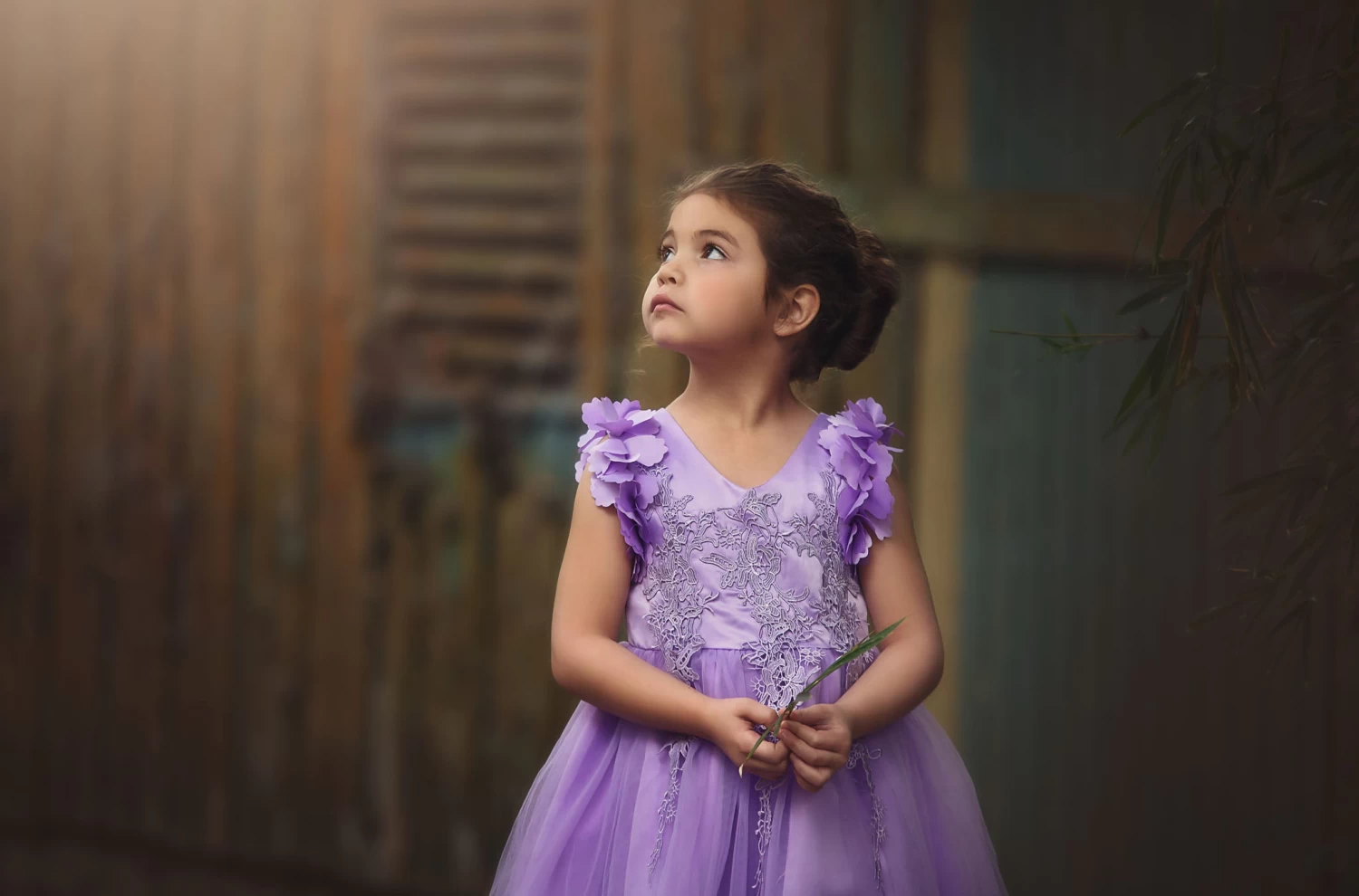 BIANCA DRESS LAVENDER 6 BIANCA DRESS LAVENDER - Image 4