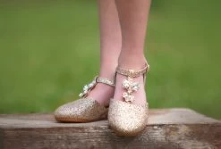 PRINCESS SHOE GOLD -Trish Scully TSC9fb 2 copy2 2821ba75 b84a 4055 b2ec eb1f11d965b3