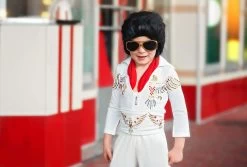 ELVIS 5 PC SET -Trish Scully elvis3