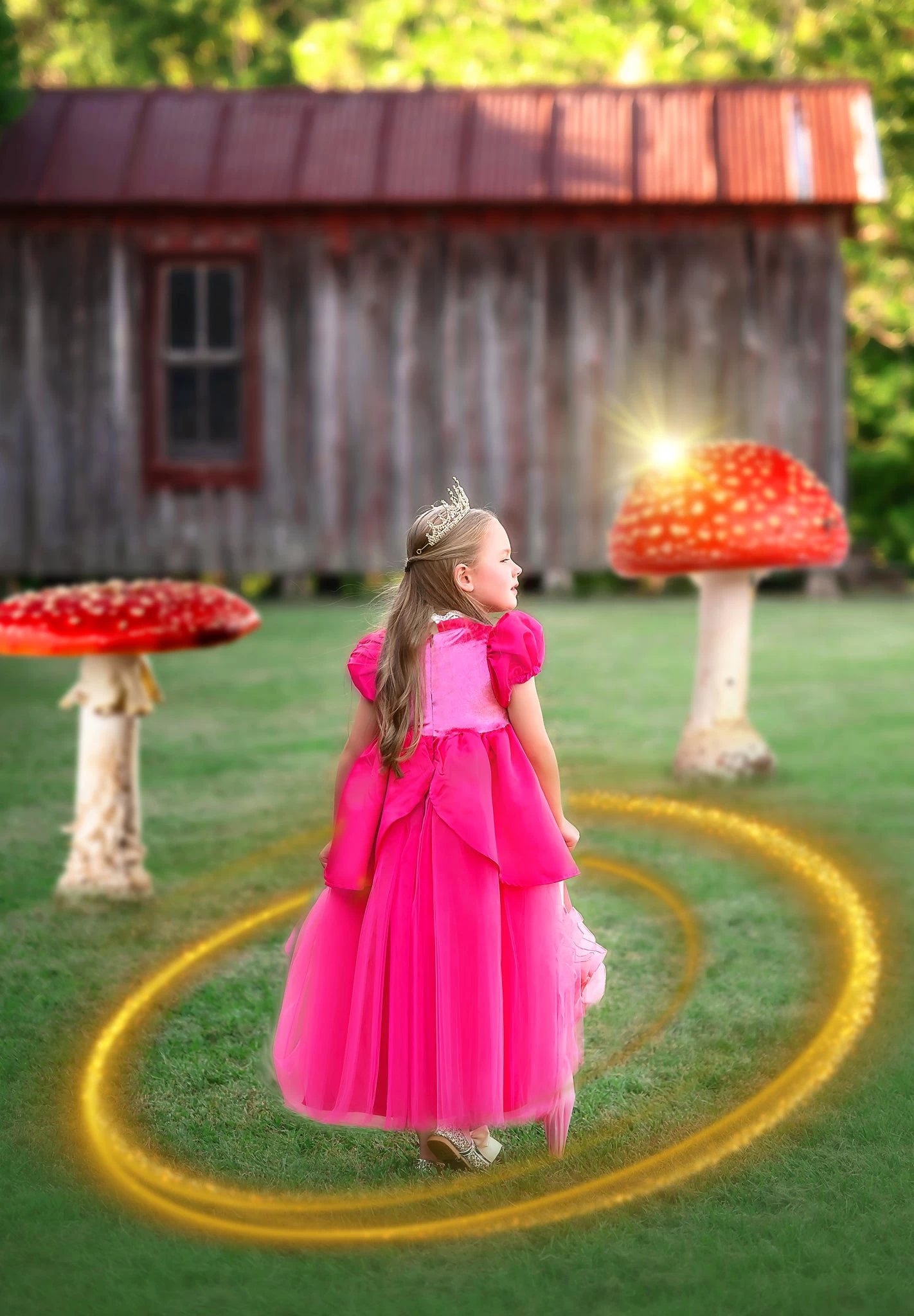 PRINCESS VICTORIA 5 PRINCESS VICTORIA - Image 3