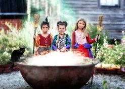 THE SPOTLIGHT SISTER 8 THE SPOTLIGHT SISTER -Trish Scully witchgroup3